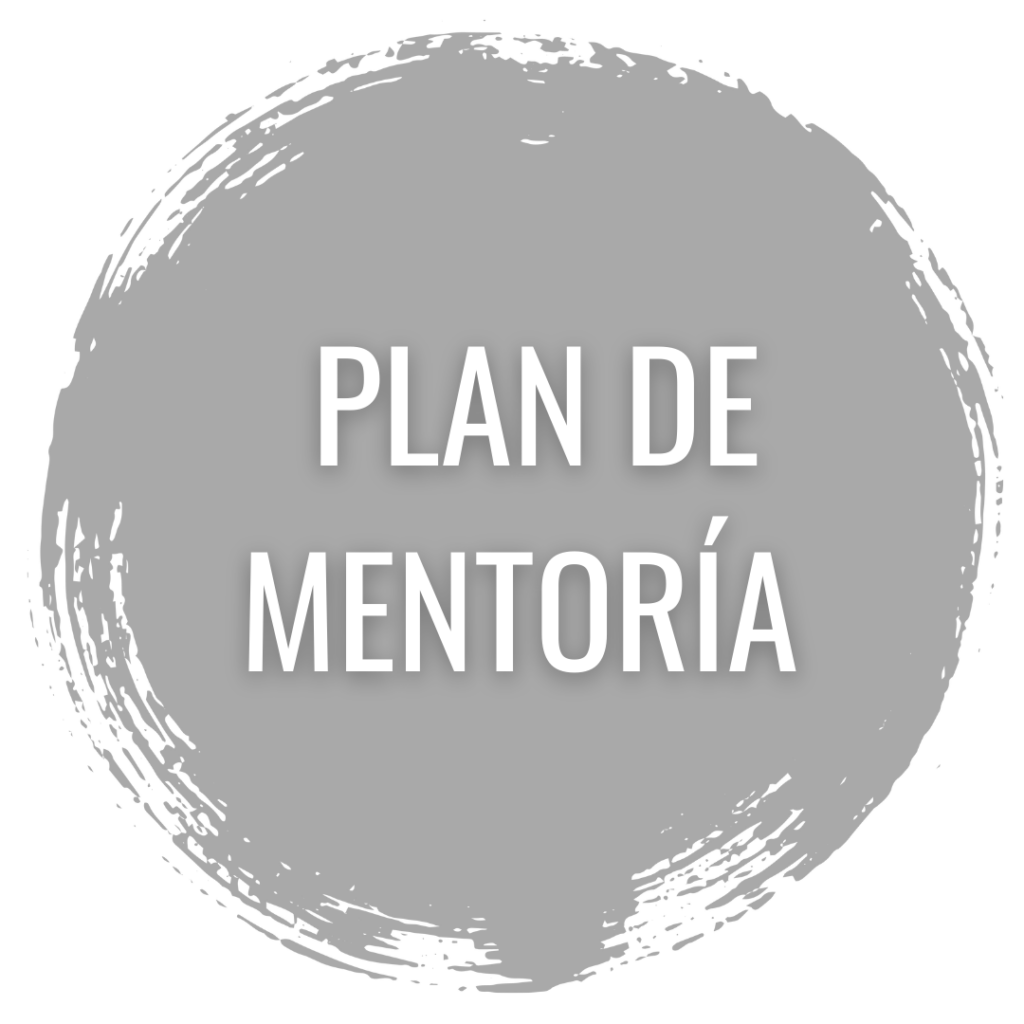 Plan de Mentoria