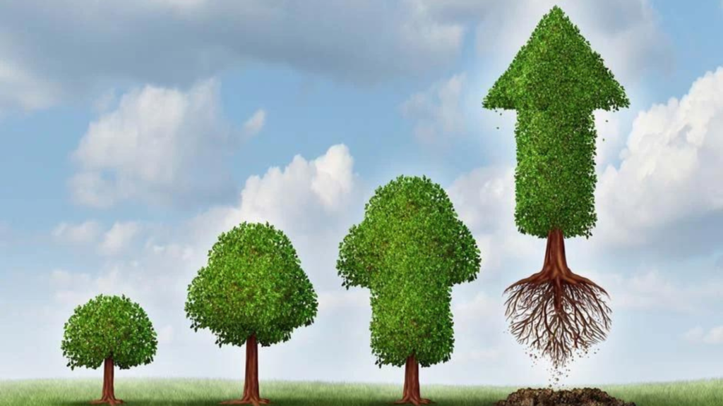 Growth Marketing y Base de datos